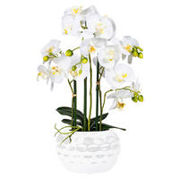 Orchidee weiß Kunststoff H: ca. 55 cm Orchidee - weiß (55,00cm)