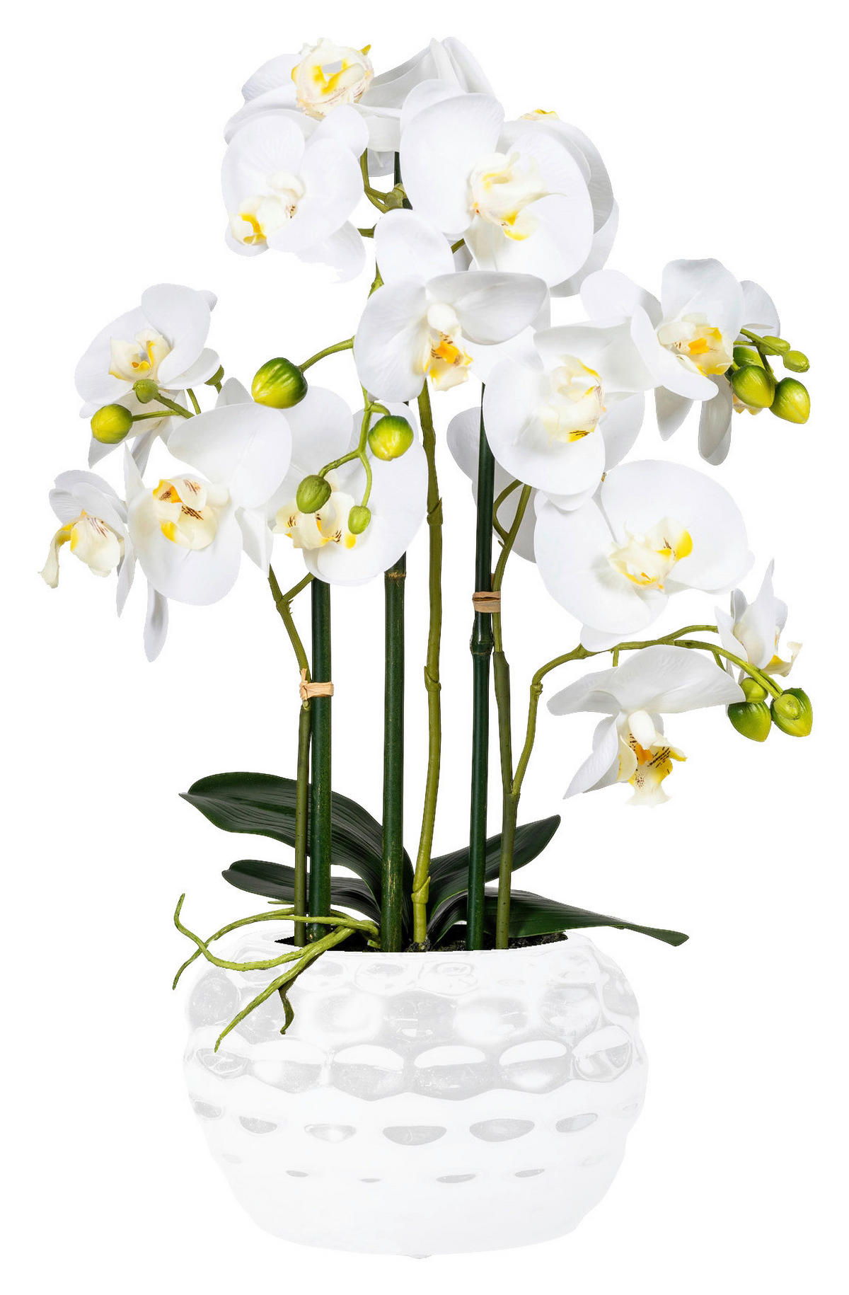 Orchidee weiß Kunststoff H: ca. 55 cm Orchidee - weiß (55,00cm)