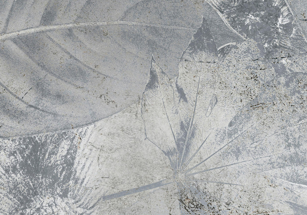 Komar Fototapete Flower Fossil B/L: ca. 200x280 cm Flower Fossil - (200,00/280,00cm) - Komar