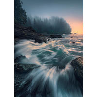 Komar Fototapete Cry of the Sea B/L: ca. 200x280 cm Cry of the Sea - (200,00/280,00cm) - Komar
