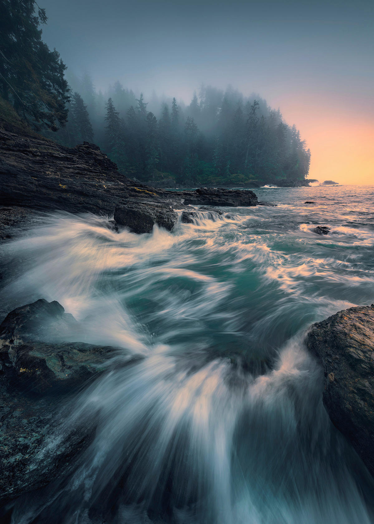 Komar Fototapete Cry of the Sea B/L: ca. 200x280 cm Cry of the Sea - (200,00/280,00cm) - Komar