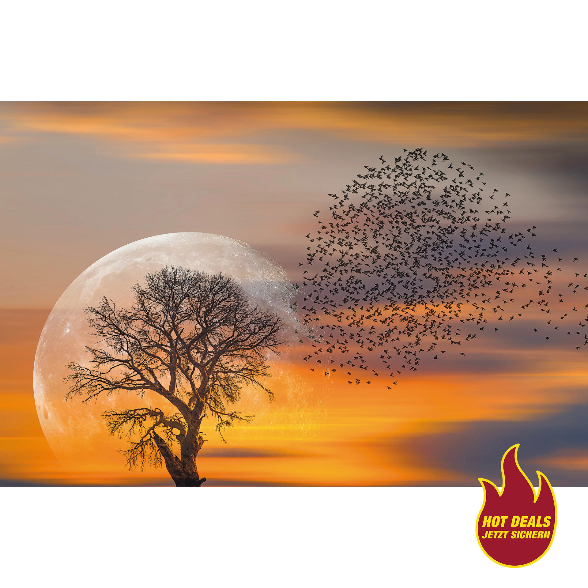 Keilrahmenbild Keilrahmenbild 116x76cm - (76,00/116,00cm)