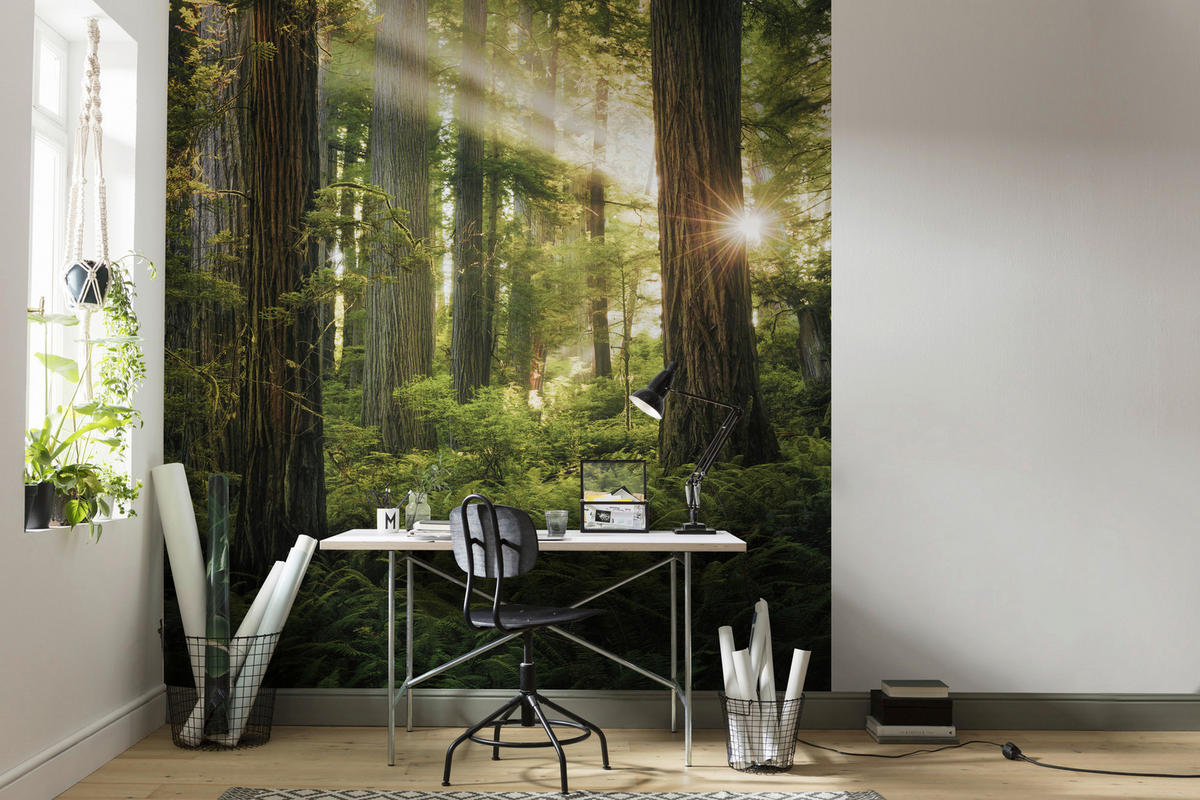 Komar Fototapete Goblins Woods B/L: ca. 250x280 cm Goblins Woods - (250,00/280,00cm) - Komar