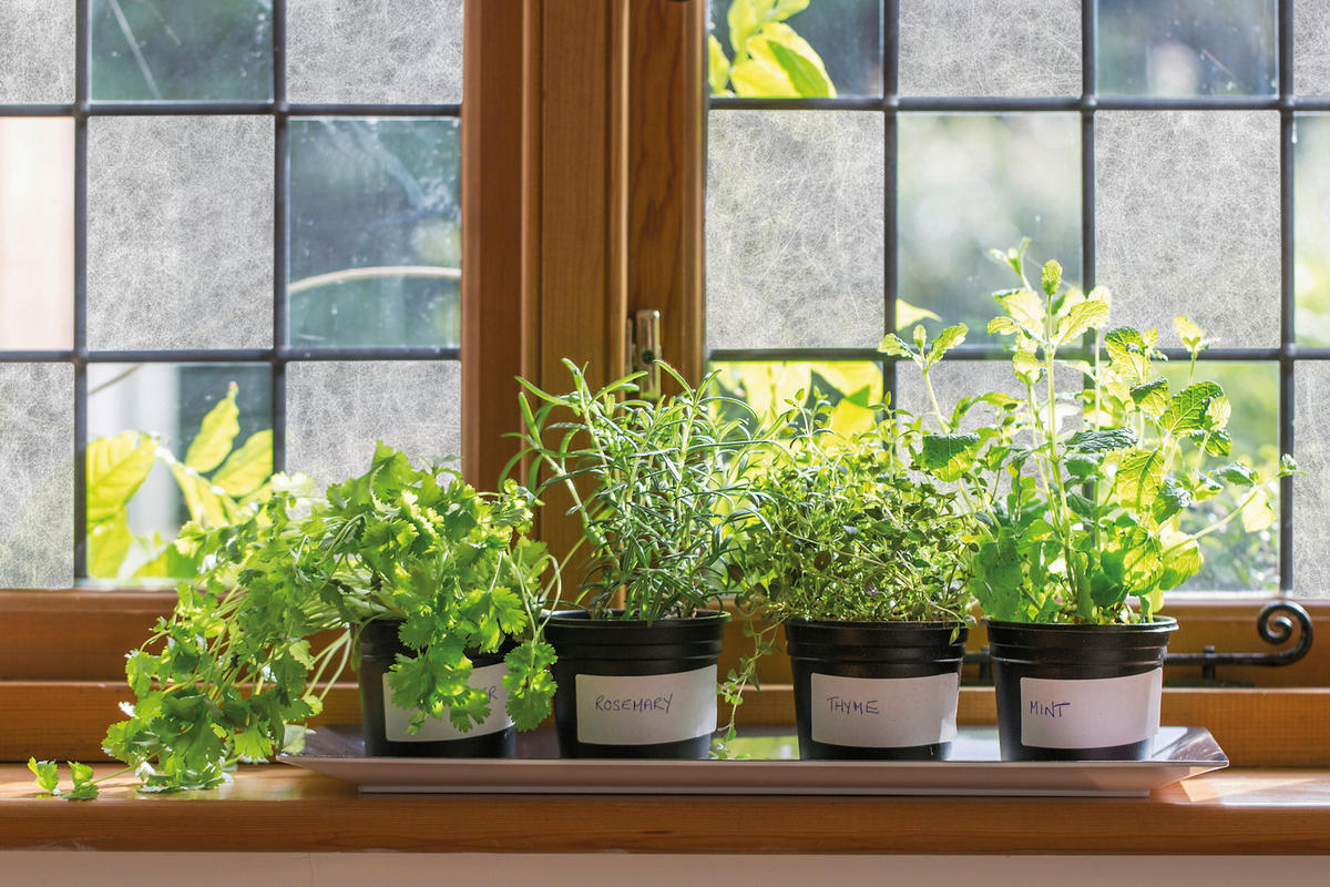 d-c-fix Fensterfolie Reispapier transparent weiß B/L: ca. 67,5x200 cm Fensterfolie_d-c-fix_F3468113 - weiß/transparent (67,50/200,00cm) - d-c-fix