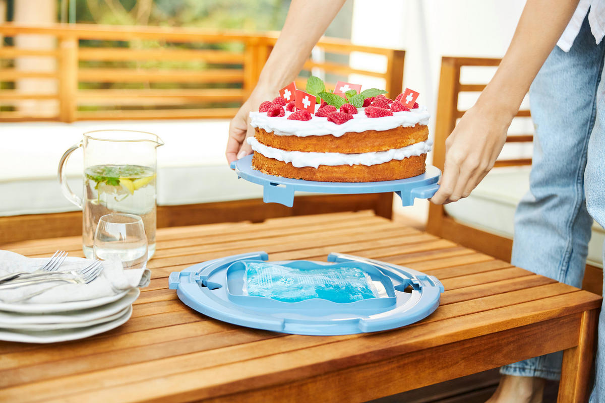 Rotho Tortenglocke COOL & FRESH blau B/H/L: ca. 34x16x38 cm COOL & FRESH - blau/transparent (38,00/34,00/16,00cm) - Rotho