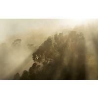 Komar Fototapete Foggy Sunshine B/L: ca. 400x250 cm Foggy Sunshine - (400,00/250,00cm) - Komar