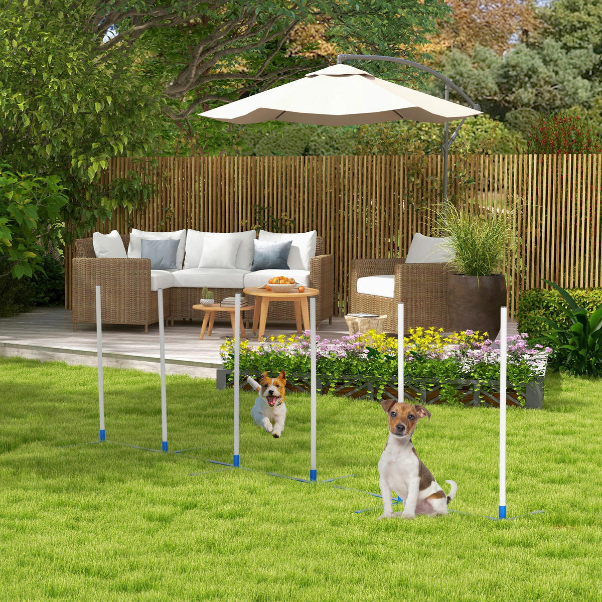 PawHut Hunde-Agility-Set blau Kunststoff B/H/L: ca. 60x94x305 cm Hunde-Agility-Set - blau/weiß (305,00/60,00/94,00cm) - PawHut