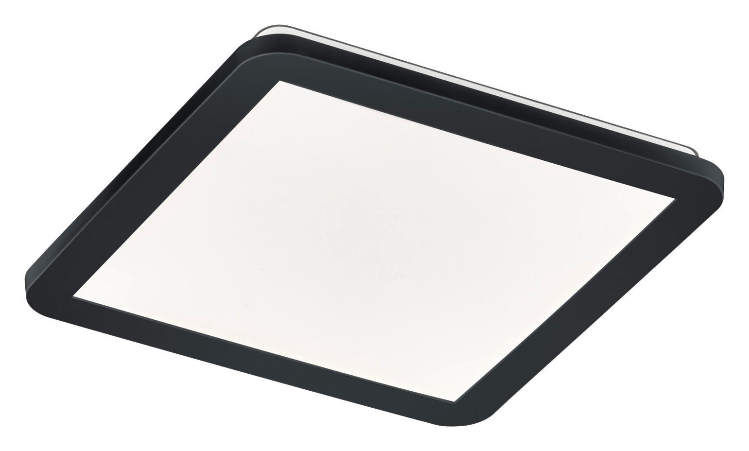 Reality Deckenleuchte R62931832 schwarz Opal Kunststoff LED-Deckenleuchte_Camillus - schwarz/Opal - Reality