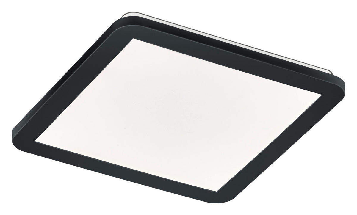 Reality Deckenleuchte R62931832 schwarz Opal Kunststoff LED-Deckenleuchte_Camillus - schwarz/Opal - Reality