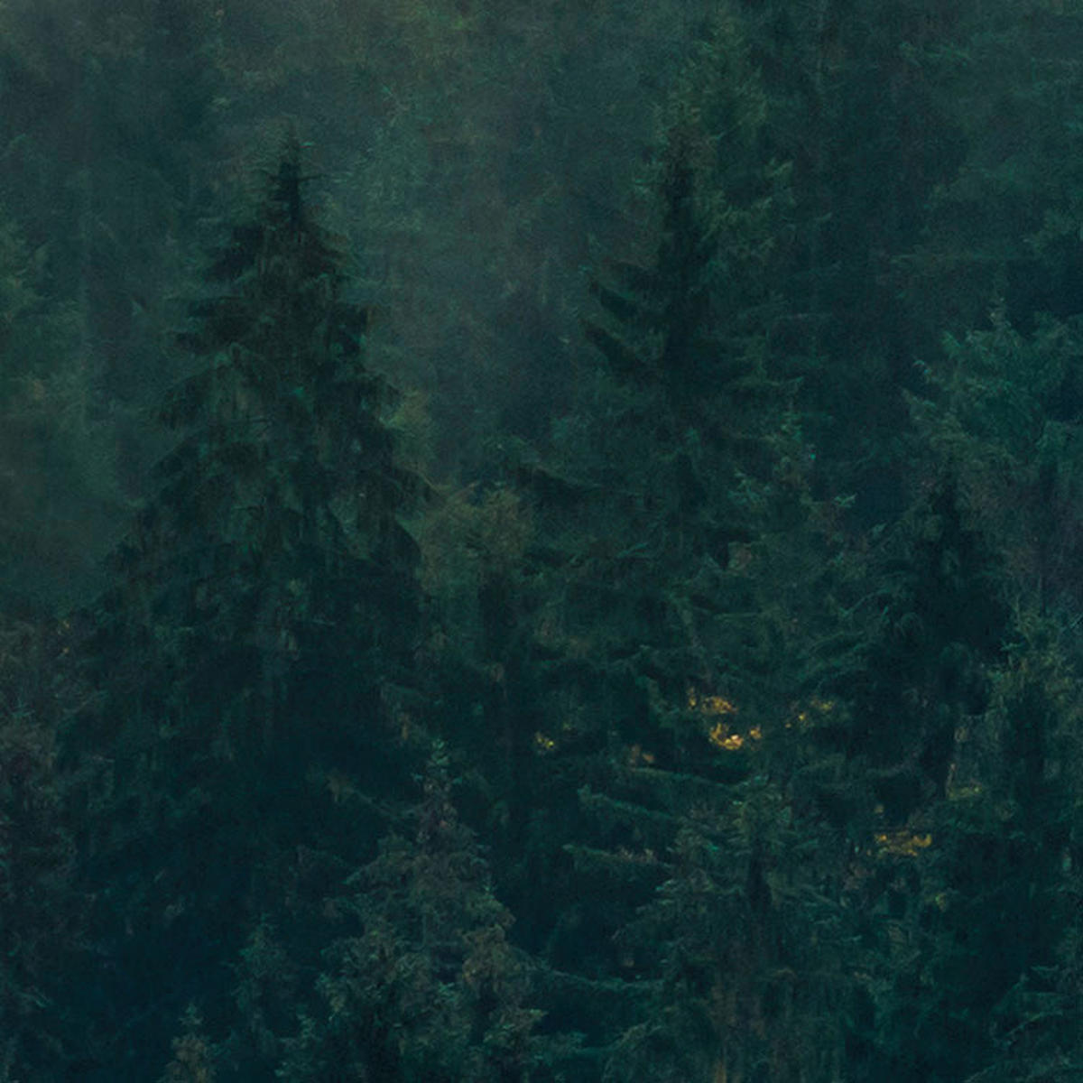 Komar Fototapete Tales of the Carpathians B/L: ca. 300x200 cm Tales of the Carpathians - (300,00/200,00cm) - Komar