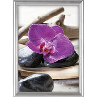 The Wall Bilderrahmen silber Kunststoff B/L: ca. 60x80 cm Fotorahmen 60x80cm - silber (60,00/80,00cm) - The Wall