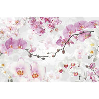 Komar Fototapete Allure B/L: ca. 400x260 cm Allure - (400,00/260,00cm) - Komar