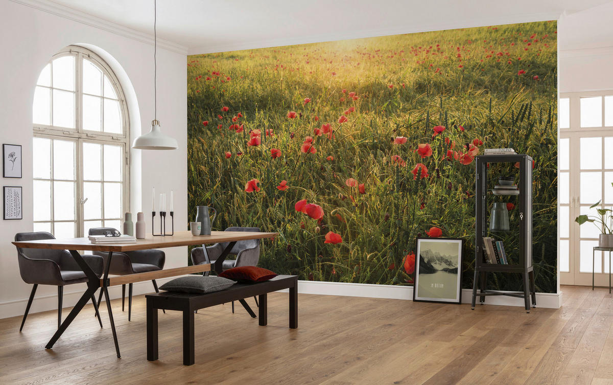 Komar Fototapete Poppy World B/L: ca. 450x280 cm Poppy World - (450,00/280,00cm) - Komar