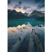 Komar Fototapete Burning Emerald B/L: ca. 200x280 cm Burning Emerald - (200,00/280,00cm) - Komar