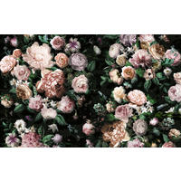 Komar Fototapete Victoria Black B/L: ca. 400x250 cm Victoria Black - (400,00/250,00cm) - Komar