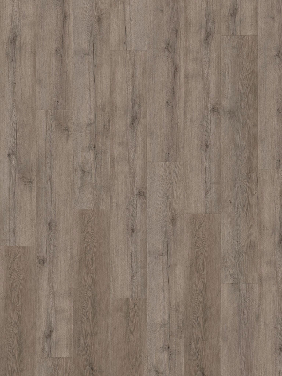 Check One Click-Vinylboden Terpe ca. 2,22 m² im Paket  B/L: ca. 18,2x122 cm pro Paket Terpe ca. 2,22 m² im Paket - (18,20/122,00cm) - Check One