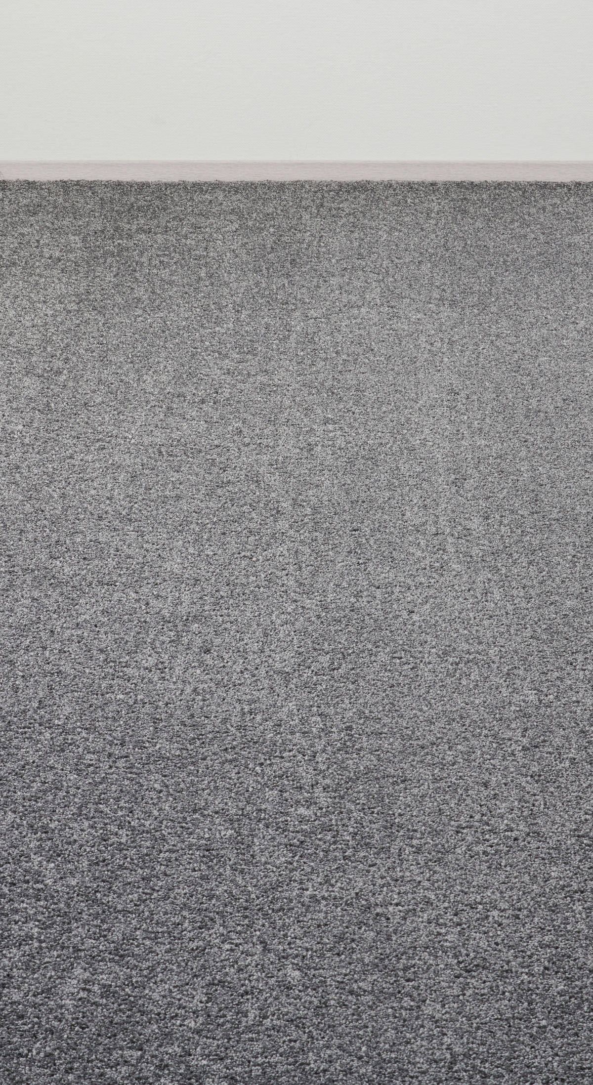 Teppichboden Crown dunkelgrau B: ca. 400 cm pro m² Crown - dunkelgrau (400,00cm)
