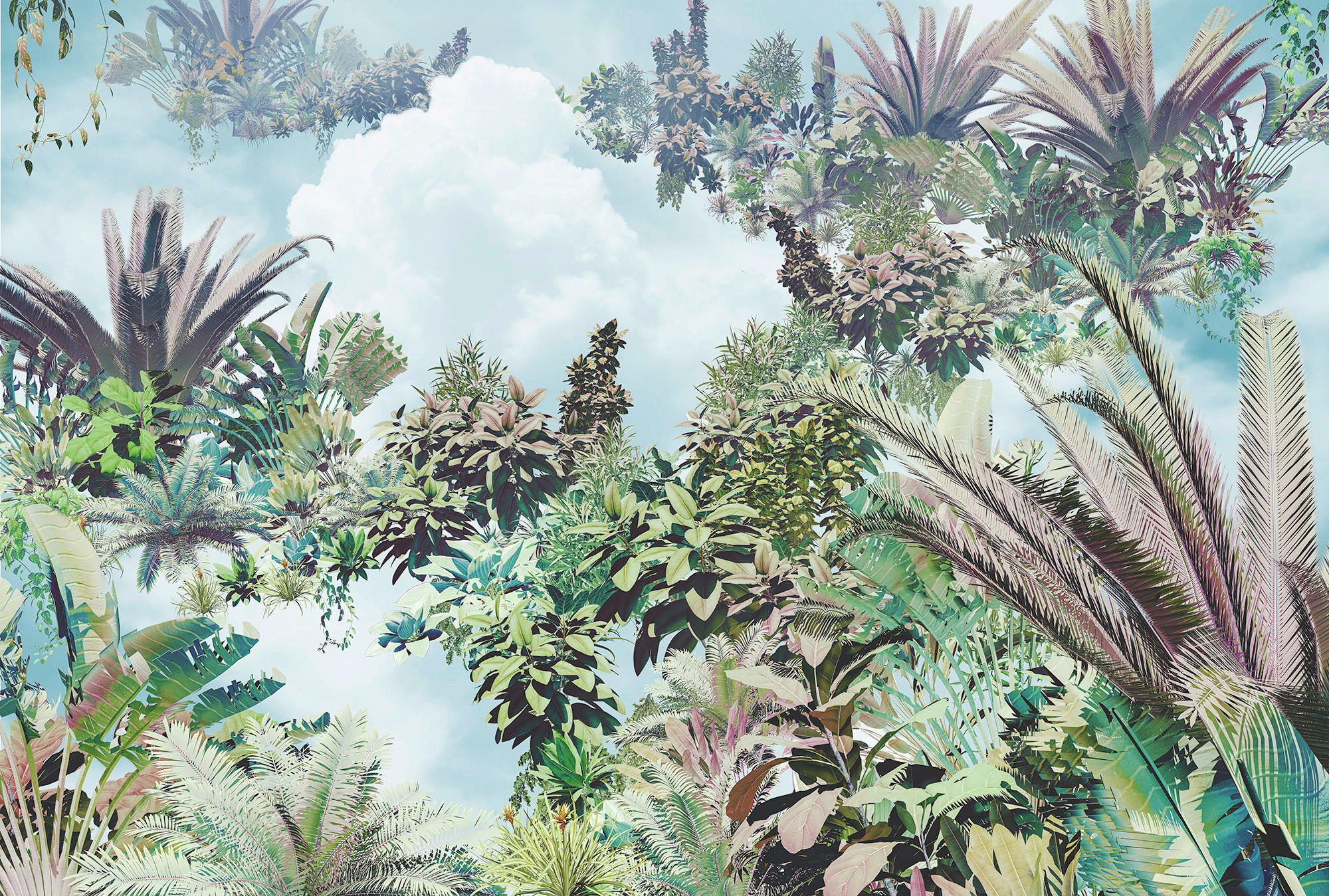 Komar Fototapete Tropical Heaven XXL4-1025 multicolor B/H: ca. 268x248 cm