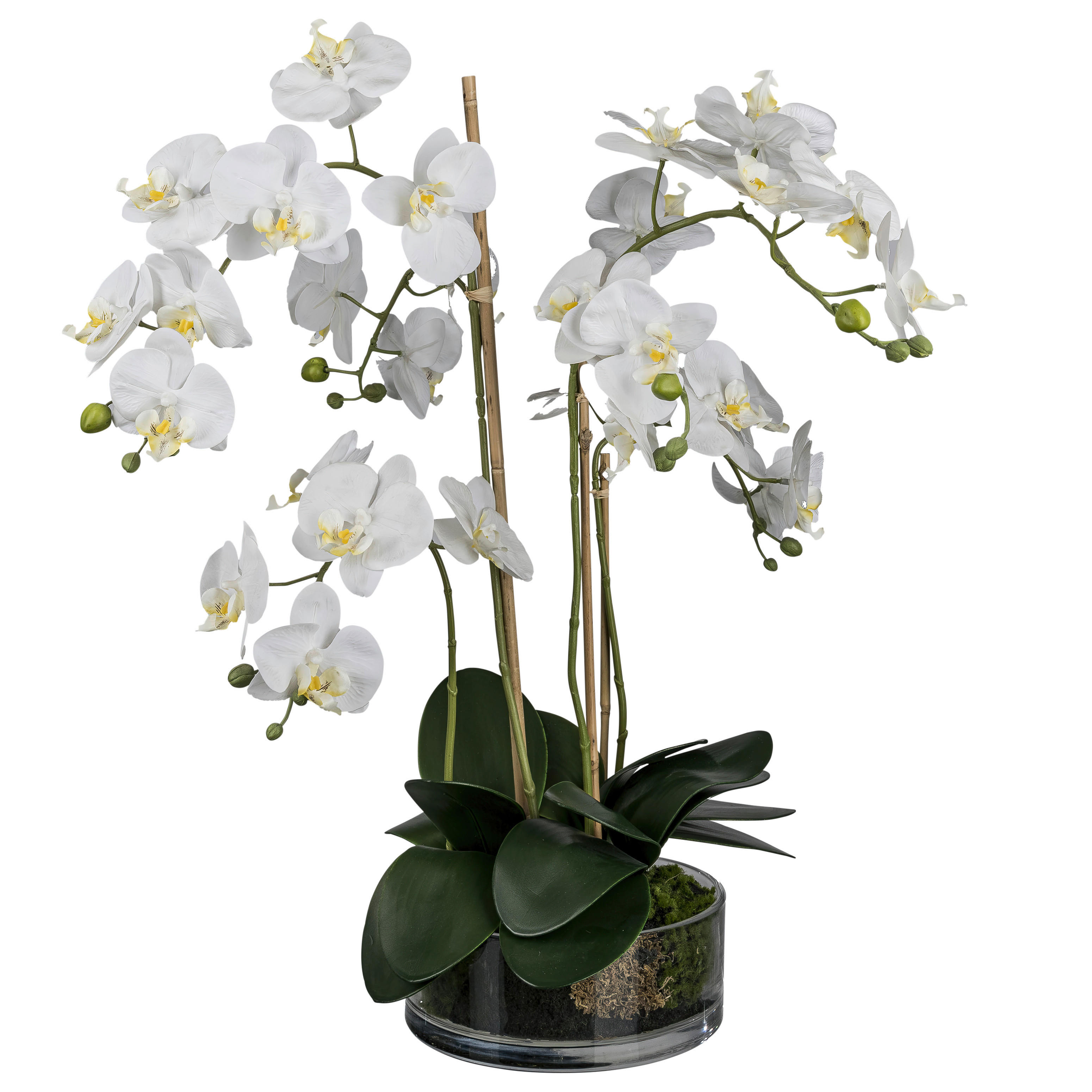 Kunstpflanze Phalaenopsis weiß Kunststoff B/H/L: ca. 27x50x27 cm Phalaenopsis - weiß (27,00/27,00/50,00cm)