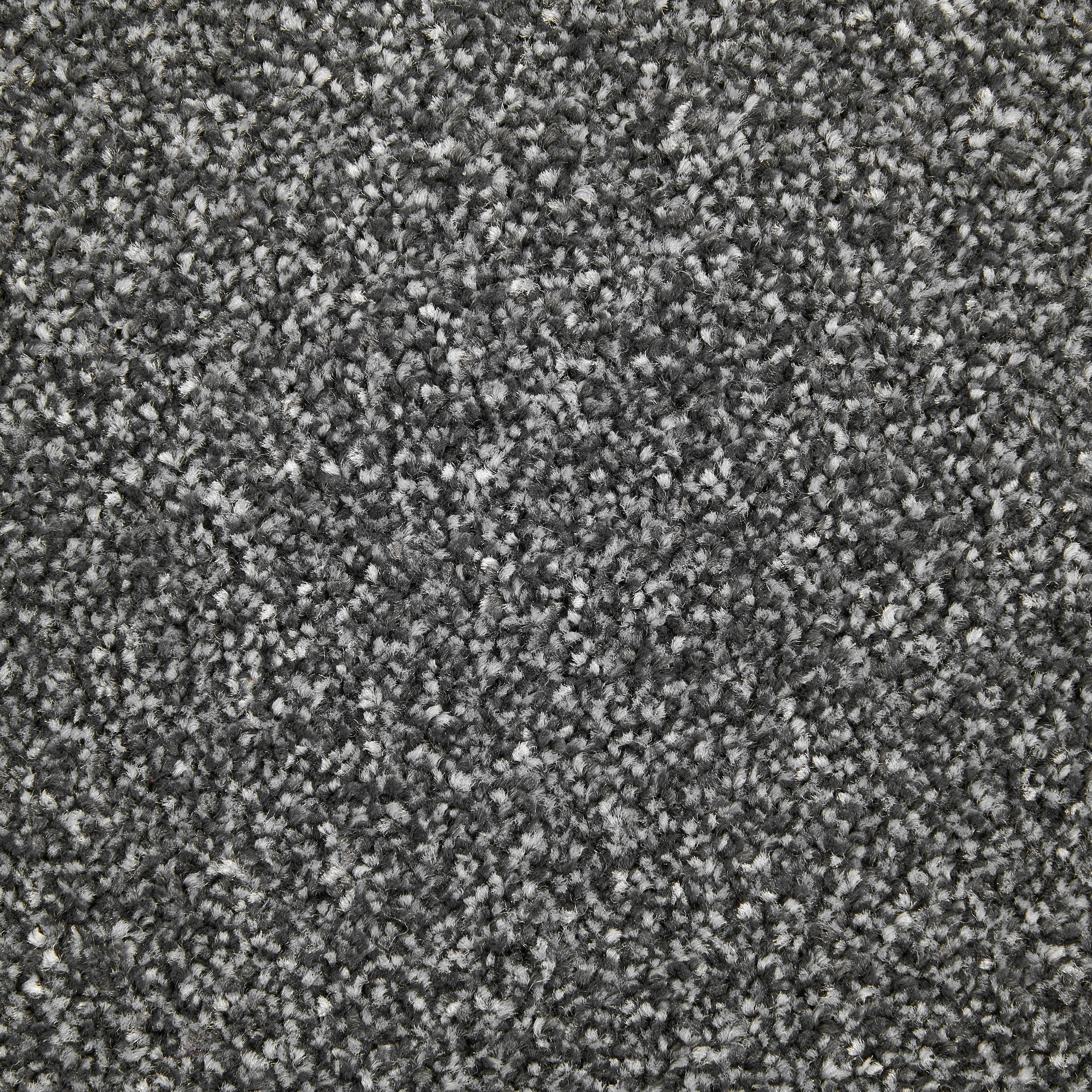 Teppichboden Alps anthrazit B: ca. 400 cm pro m² Alps - anthrazit (400,00cm)