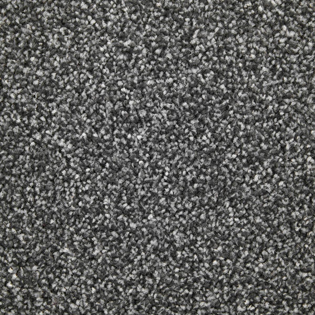 Teppichboden Alps anthrazit B: ca. 400 cm pro m² Alps - anthrazit (400,00cm)