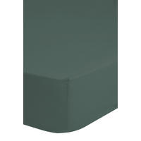Baumwoll Spannbetttuch Spannbetttuch-Baumwolle 90x220cm - grün (90,00/220,00cm) - Good Morning