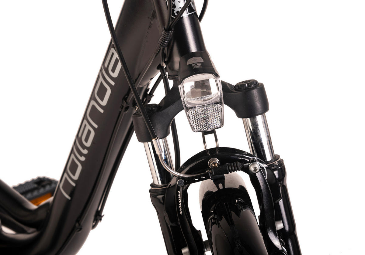 Hollandia City E-Bike E-Active KS198E 28 Zoll Rahmenhöhe 50 cm 6 Gänge schwarz schwarz ca. 250 W ca. 36 V ca. 28 Zoll E-Active - schwarz - Hollandia