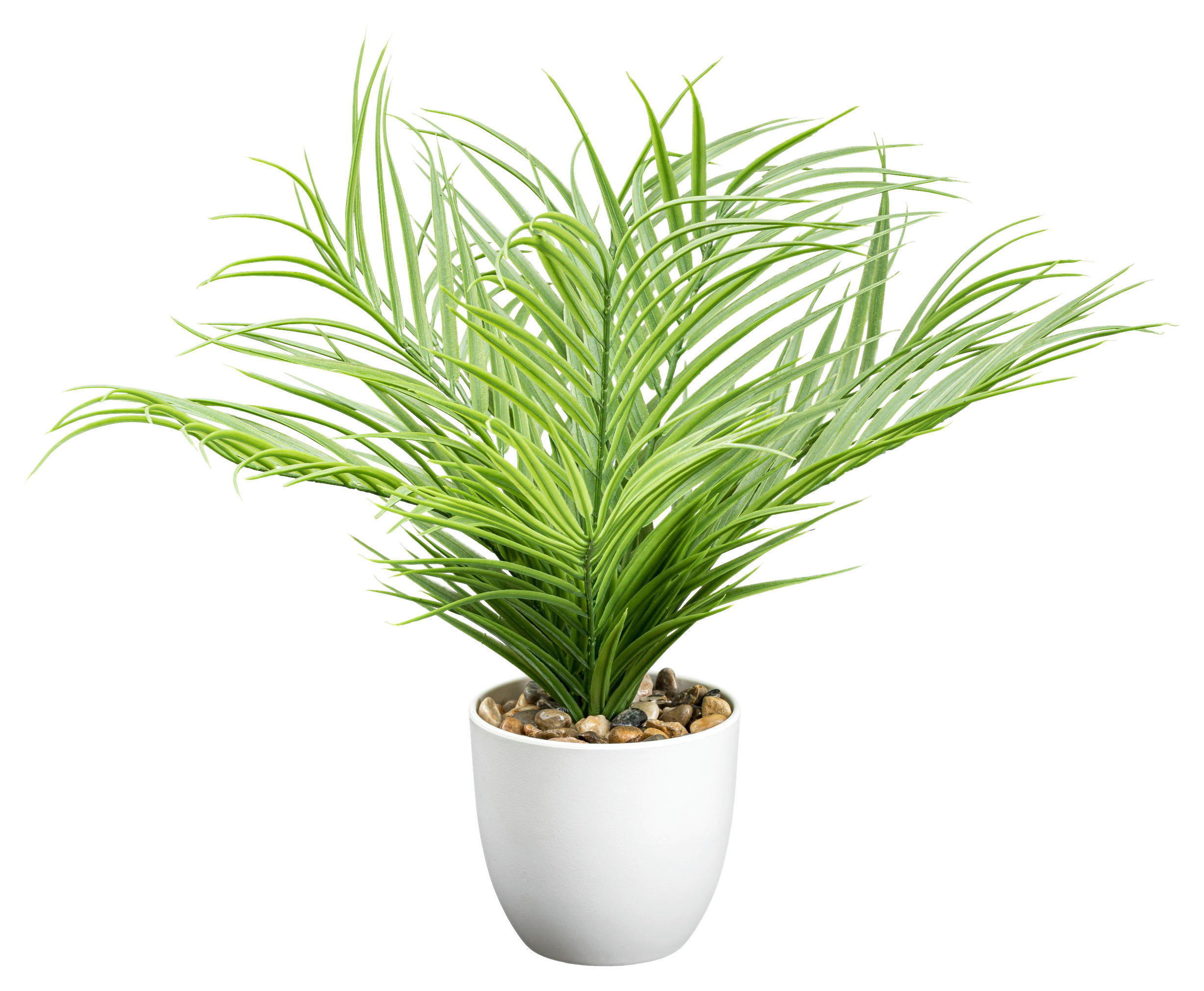 Deko-Pflanze grün Kunststoff H: ca. 37 cm Mini-Arecapalme - weiß/grün (37,00cm)