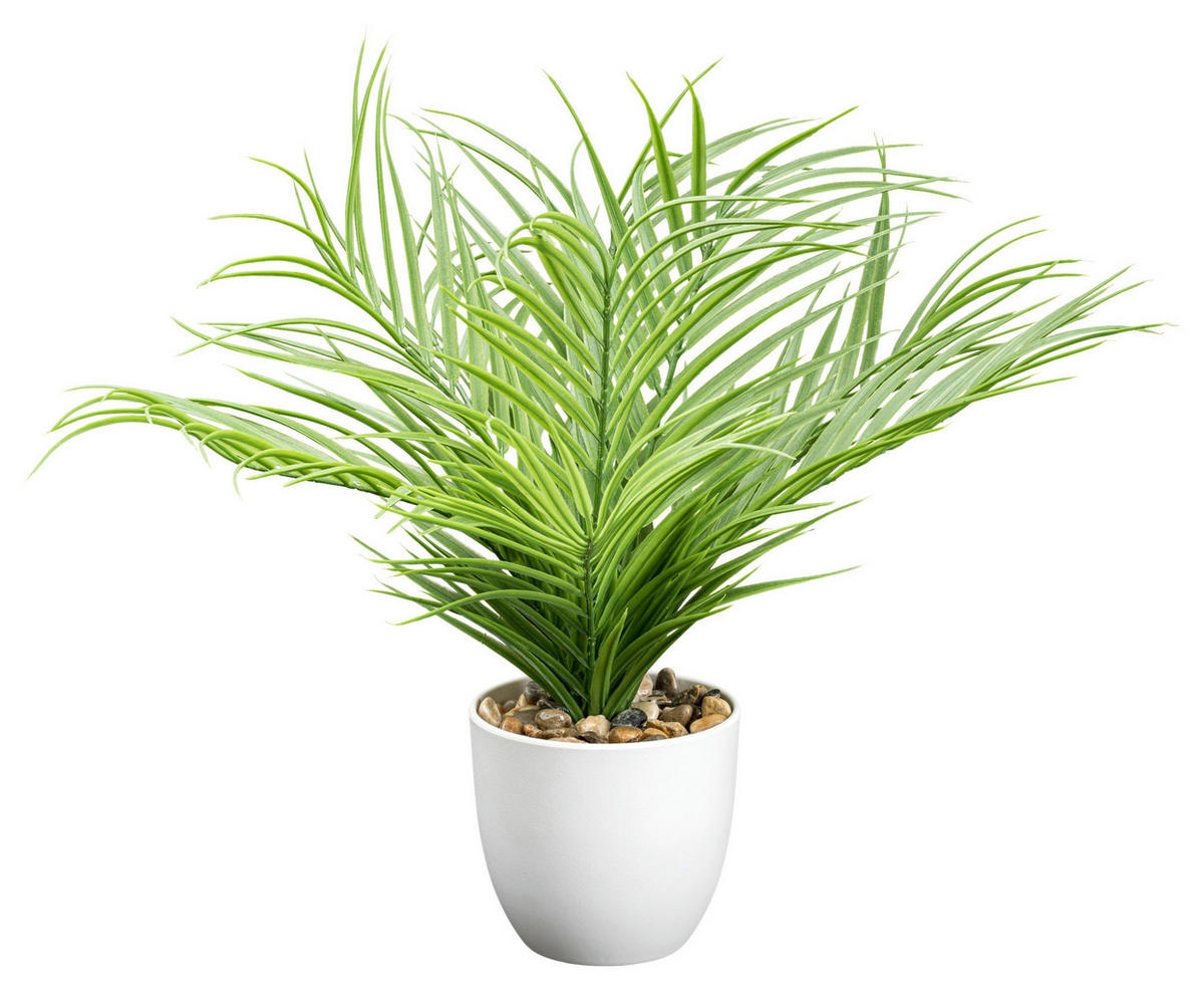 Deko-Pflanze grün Kunststoff H: ca. 37 cm Mini-Arecapalme - weiß/grün (37,00cm)