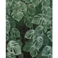 Komar Fototapete Monstera on Marble B/L: ca. 200x250 cm Monstera on Marble - (200,00/250,00cm) - Komar