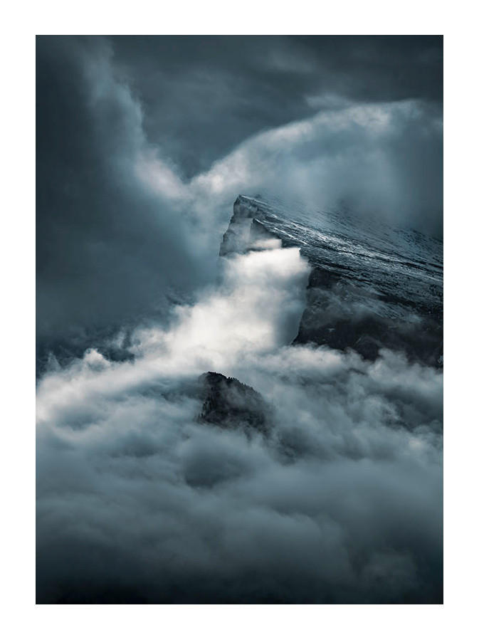 Komar Poster Arrowhead Natur B/L: ca. 50x70 cm Arrowhead - (50,00/70,00cm) - Komar