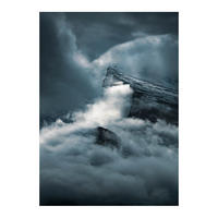 Komar Poster Arrowhead Natur B/L: ca. 50x70 cm Arrowhead - (50,00/70,00cm) - Komar