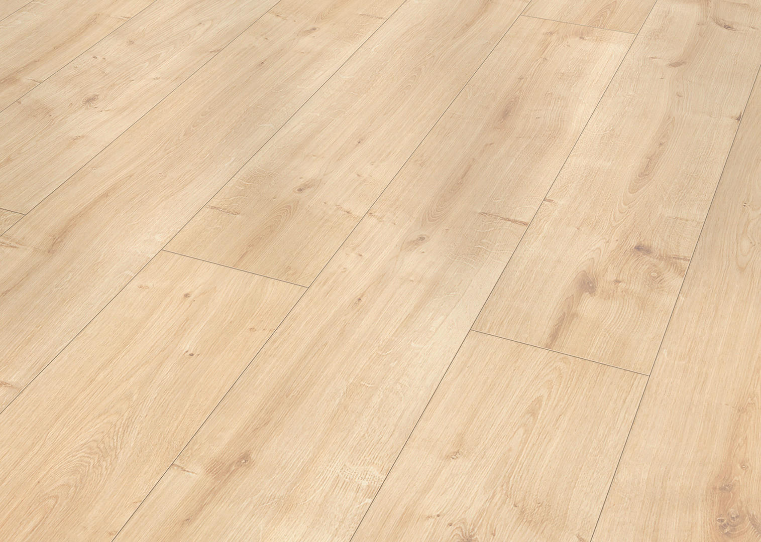Musterstück natur B/L/S: ca. 19,4x30x0,7 cm Muster Laminat Oak nature light - natur (19,40/30,00cm)