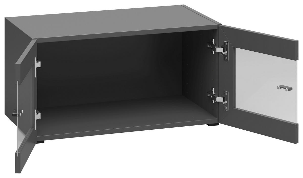 Vitrine System 64 anthrazit matt B/H/T: ca. 64x32x35 cm System 64 - anthrazit (64,00/32,00/35,00cm)