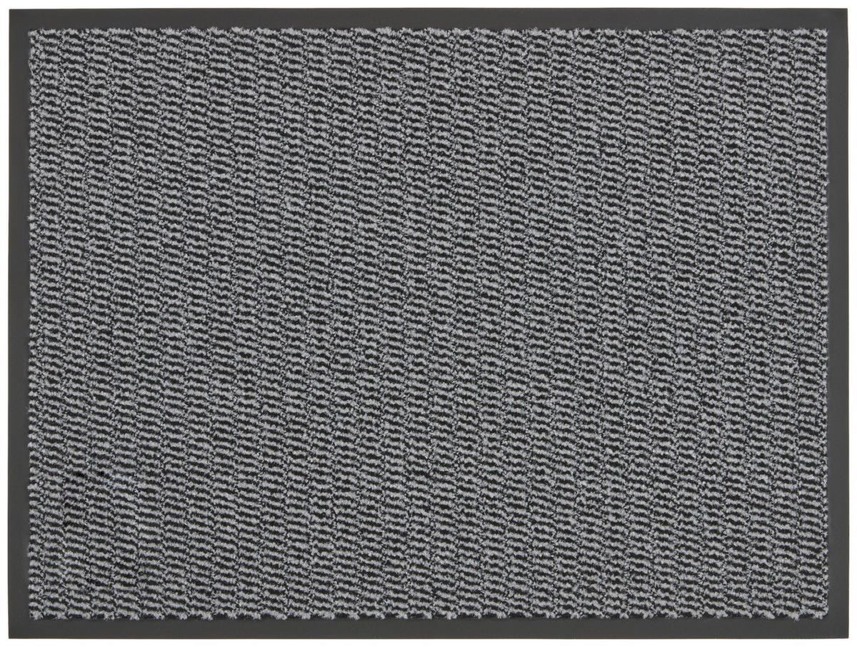 Schmutzfangmatte Spectrum grau B/L: ca. 40x60 cm Spectrum - grau (40,00/60,00cm)