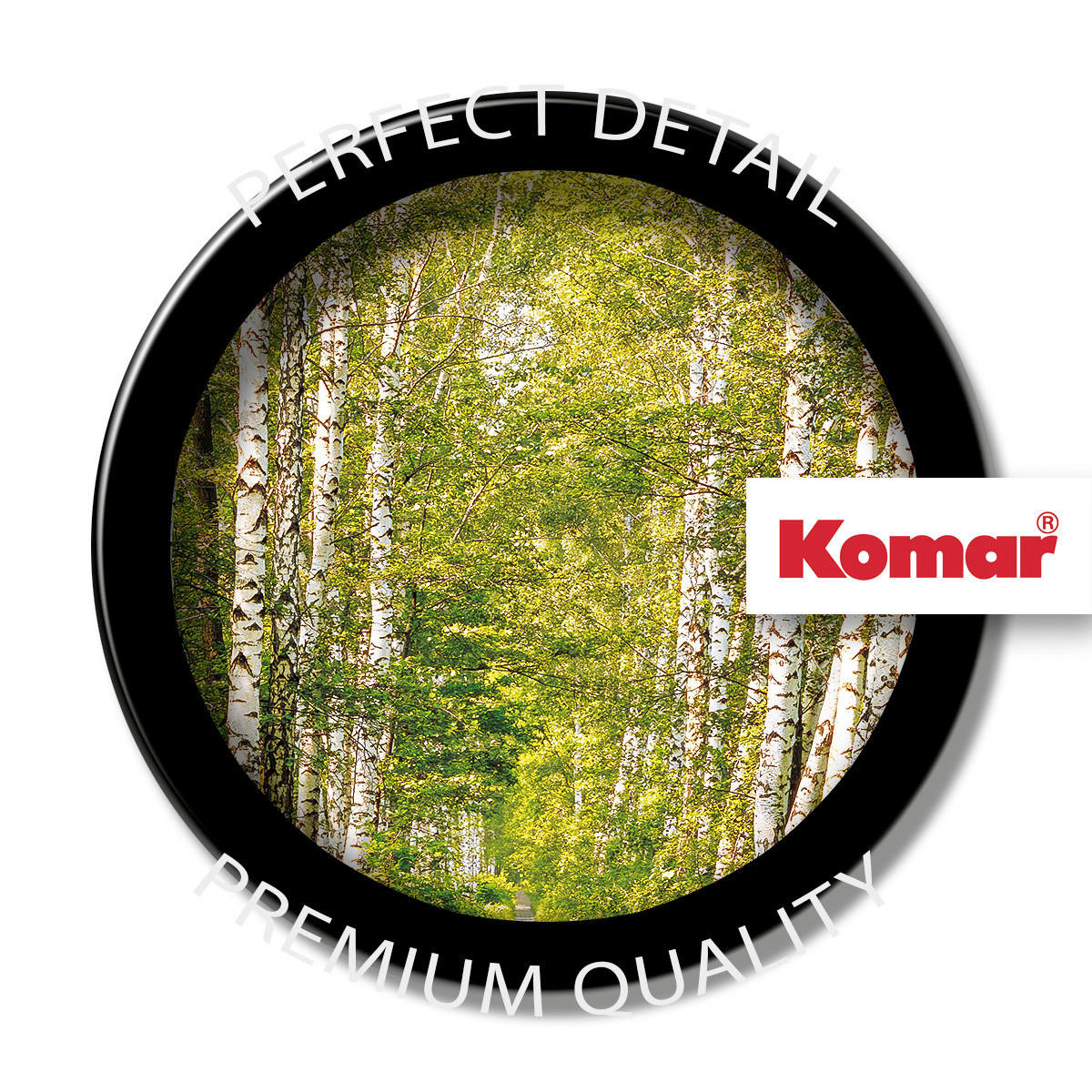 Komar Fototapete Birkenwald B/L: ca. 368x254 cm Birkenwald - (368,00/254,00cm) - Komar