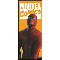 Komar Fototapete Spider-Man Comic IADX2-070 B/H: ca. 100x250 cm Spider-Man Comic IADX2-070 - (100,00/250,00cm) - Komar