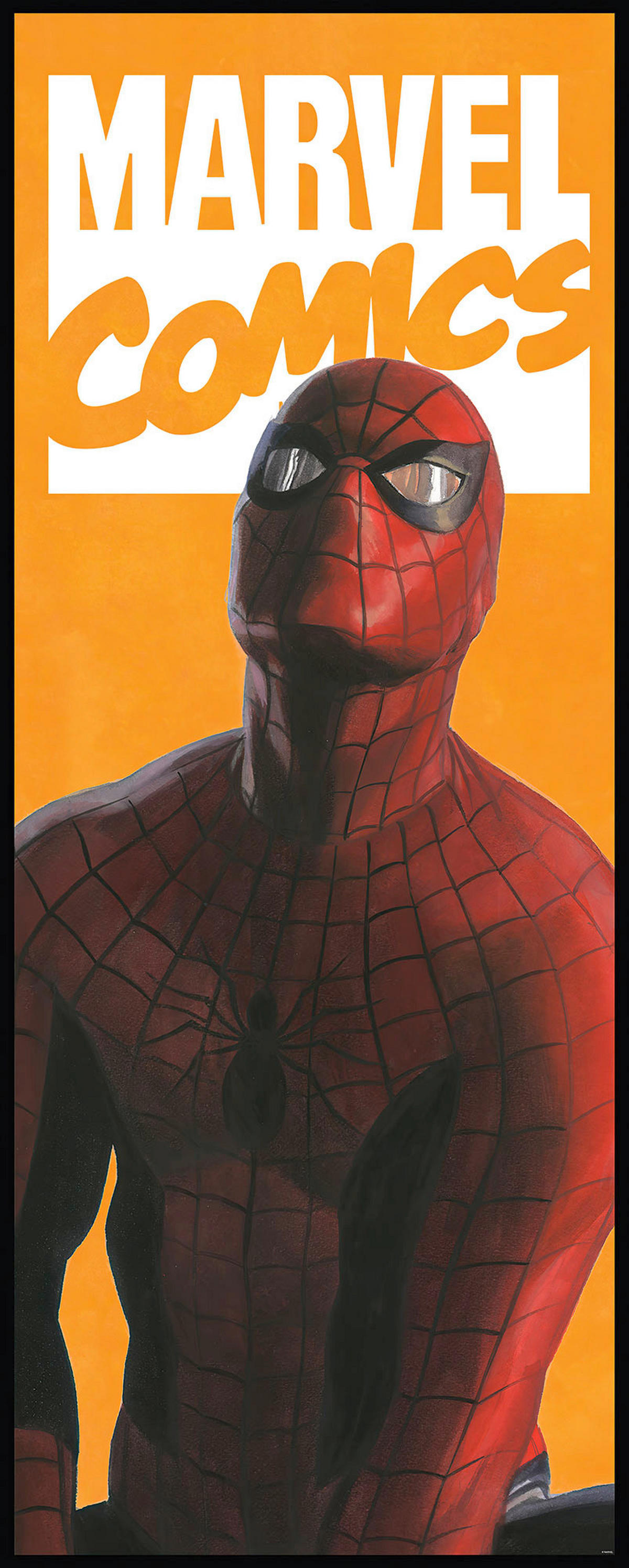 Komar Fototapete Spider-Man Comic IADX2-070 B/H: ca. 100x250 cm Spider-Man Comic IADX2-070 - (100,00/250,00cm) - Komar