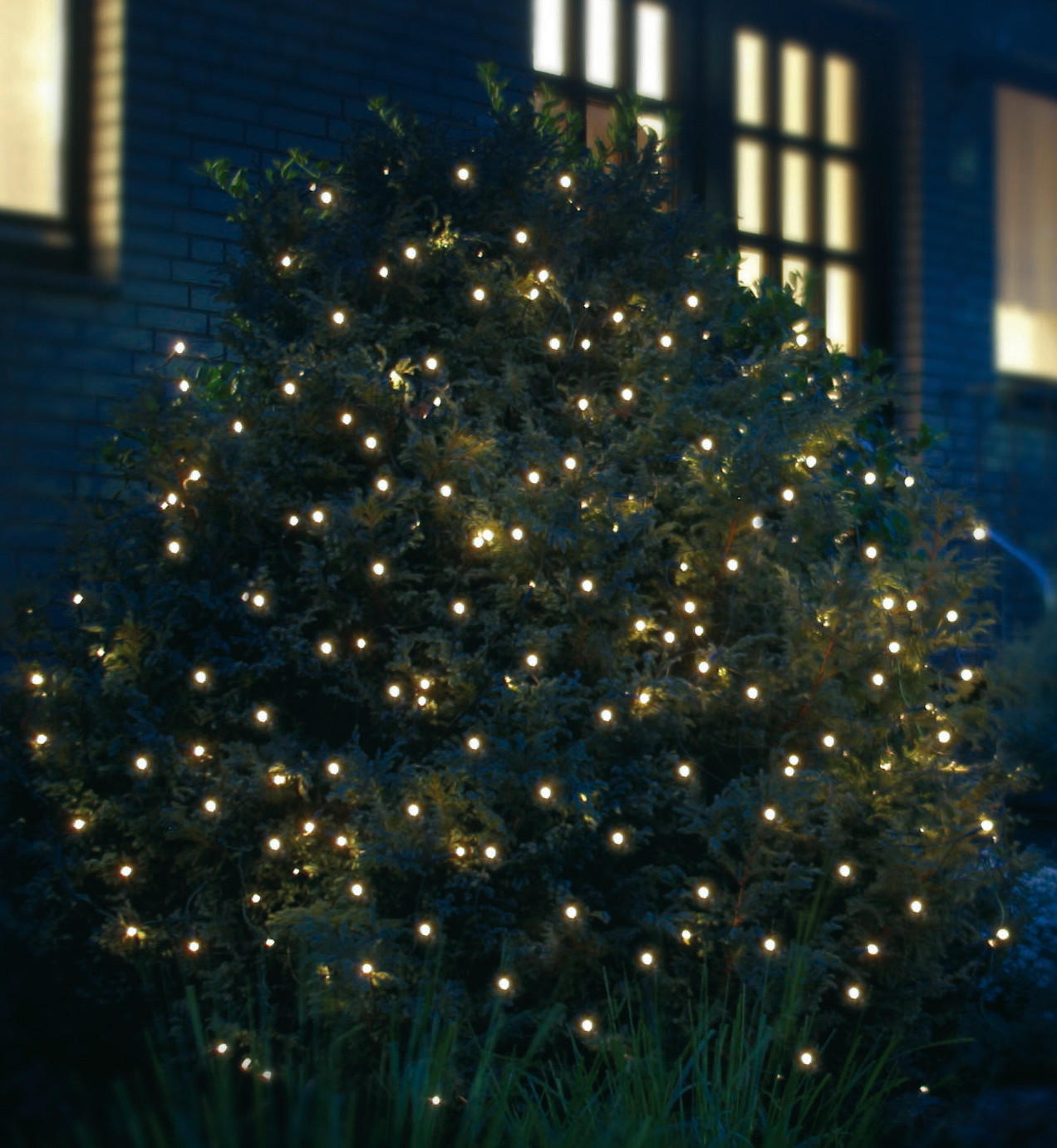Star-Max LED-Lichternetz dunkelgrün Kunststoff B/L: ca. 200x200 cm LED-Lichternetz_2x2m - dunkelgrün (200,00/200,00cm) - Star-Max