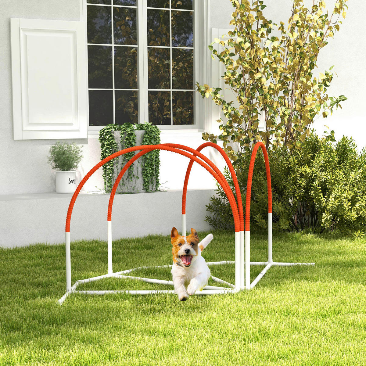 PawHut Hunde-Agility-Set weiß Kunststoff B/H/L: ca. 69x99x89 cm Hunde-Agility-Set - orange/weiß (89,00/69,00/99,00cm) - PawHut