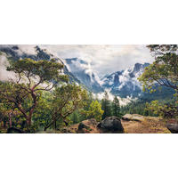Komar Fototapete Unique Paradise B/L: ca. 200x100 cm Unique Paradise - (200,00/100,00cm) - Komar