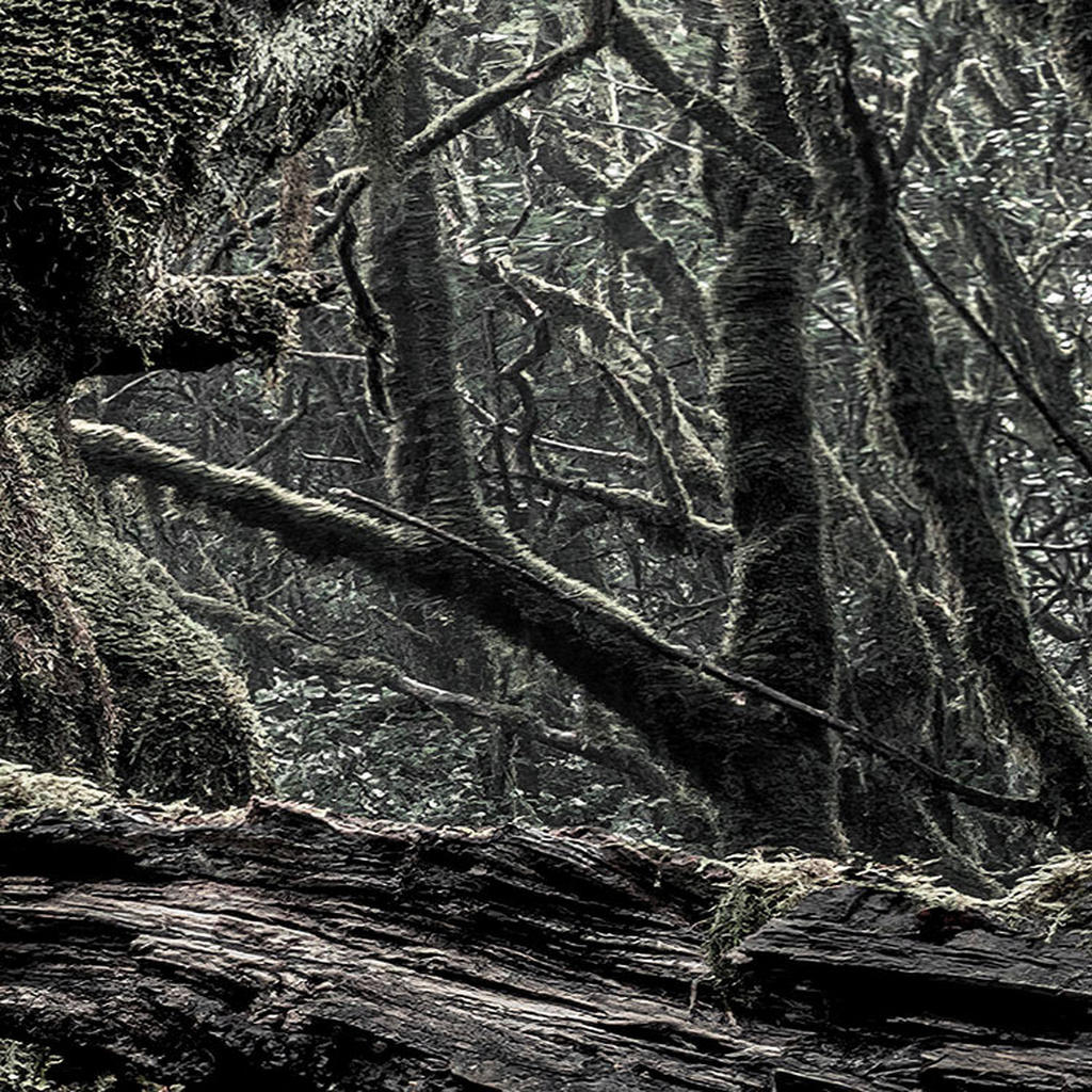 Thumbnail - Komar Fototapete Das Model B/L: ca. 250x280 cm