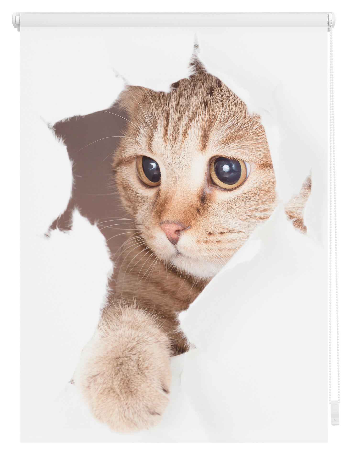 Thumbnail - LICHTBLICK Verdunkelungsrollo Katze weiß B/L: ca. 80x150 cm