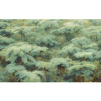 Komar Fototapete Jungle Lands B/L: ca. 400x250 cm Jungle Lands - (400,00/250,00cm) - Komar