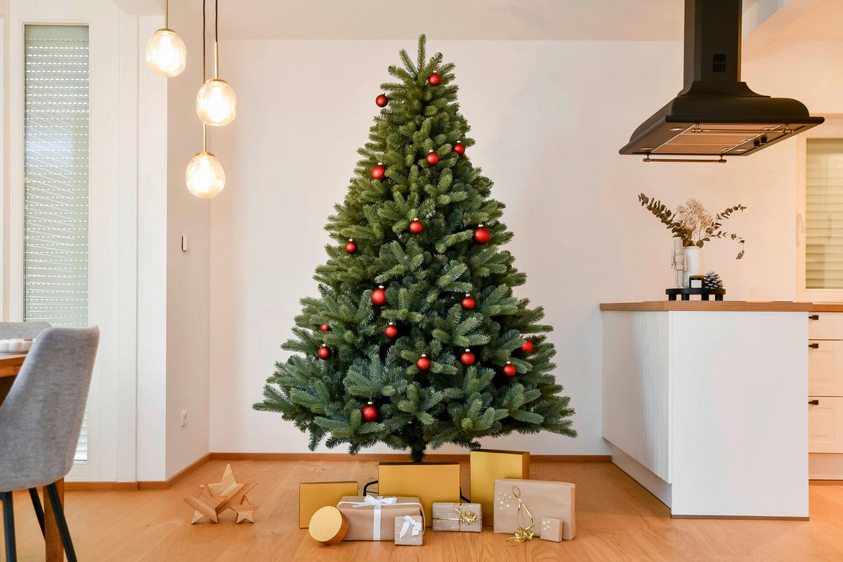 Evergreen Weihnachtsbaum Vermont Fichte Vermont Fichte - grün (150,00/150,00/210,00cm) - Evergreen