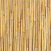 Windhager Sichtschutzmatte natur B/L: ca. 200x600 cm Sichtschutzmatte_Nantai - natur (200,00/600,00cm)