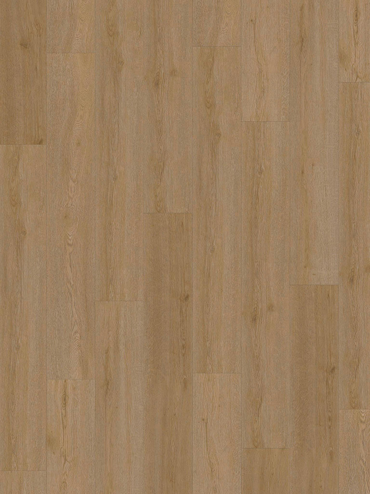 Check One Click-Vinylboden Lohe ca. 2,22 m² im Paket  B/L: ca. 18,2x122 cm pro Paket Lohe ca. 2,22 m² im Paket - (18,20/122,00cm) - Check One