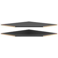 Einlegeböden-Set Multi-Stauraum Typ 48 anthrazit B/H/T: ca. 74x1,5x96 cm Multi-Stauraum Typ 48 - anthrazit (74,00/1,50/96,00cm)