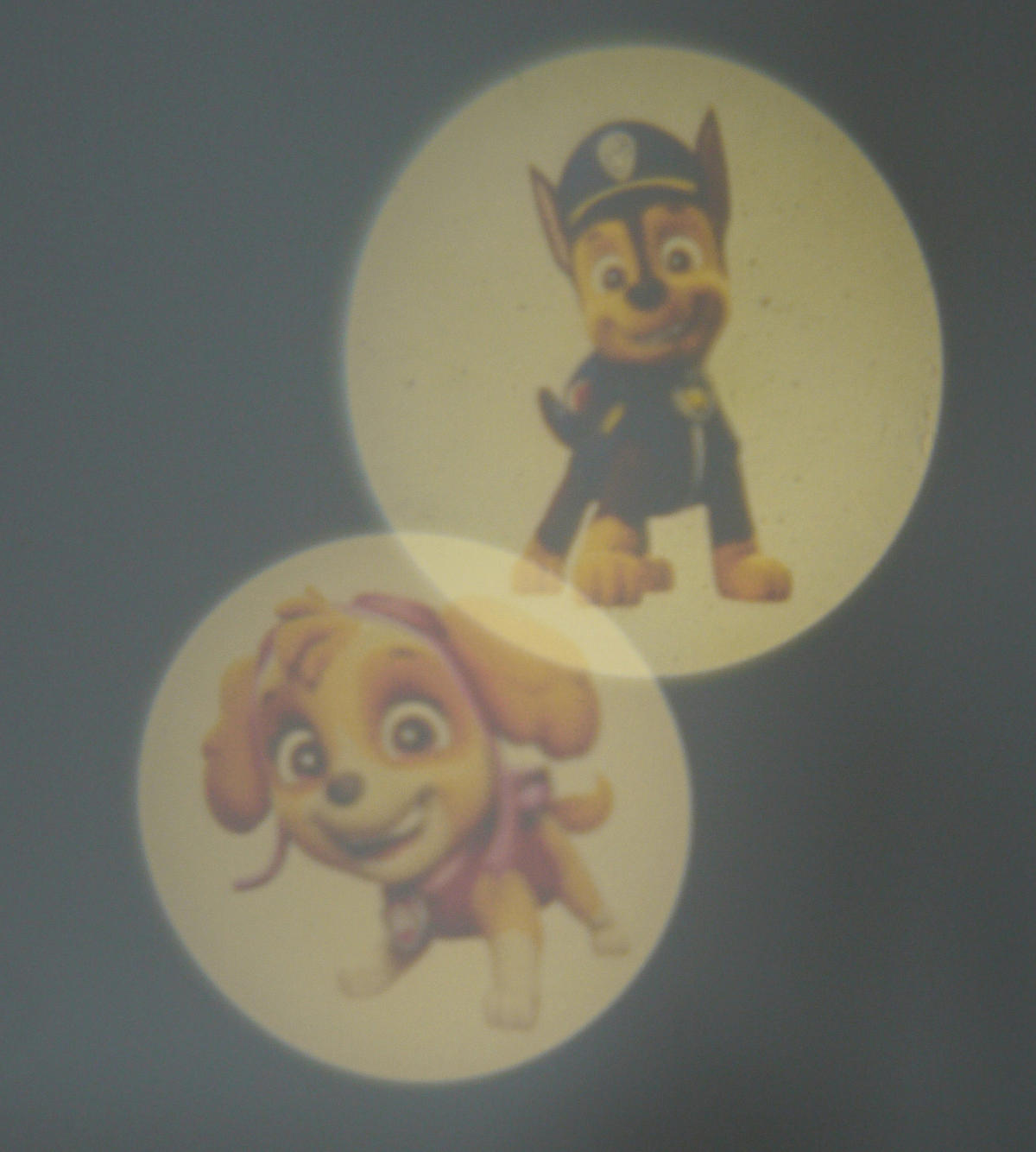 Niermann Stecker-Nachtlicht Paw Patrol 3fach 80048 dunkelblau rot Kunststoff Stecker-Nachtlicht_Paw_Patrol_3fach - rot/dunkelblau - Niermann