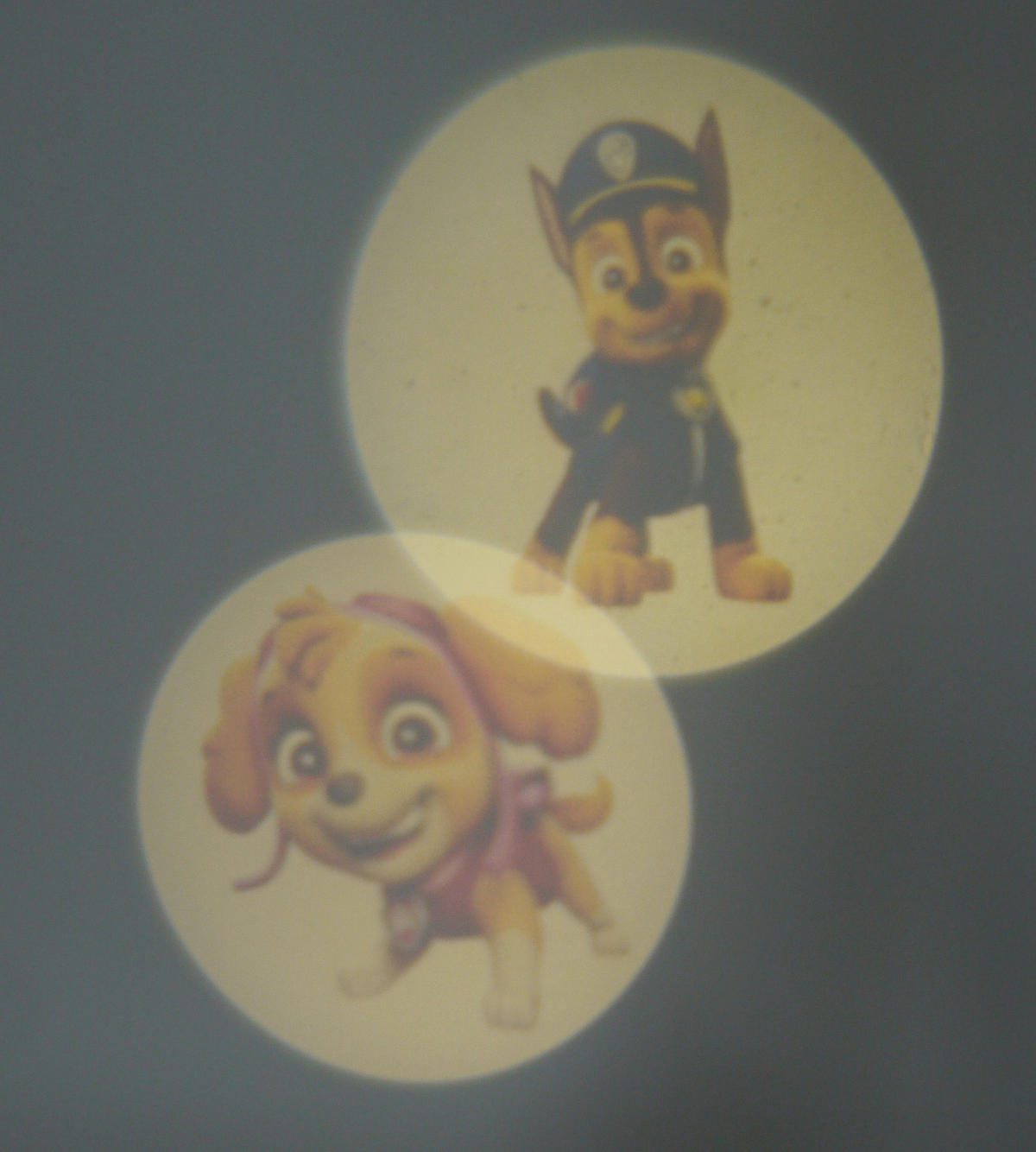 Niermann Stecker-Nachtlicht Paw Patrol 3fach 80048 dunkelblau rot  Kunststoff ▷ online bei POCO kaufen | Wandleuchten